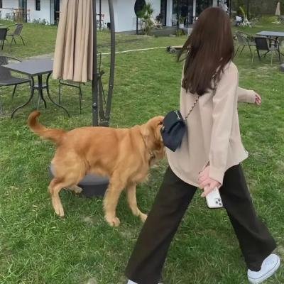 断线森林