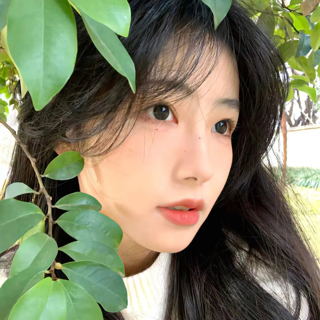 富贵荣华粤语